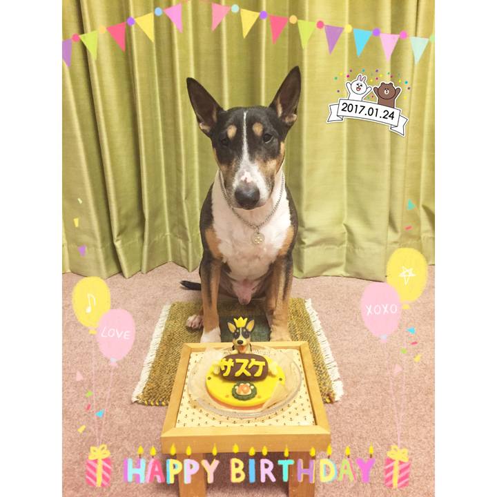 E5a4e461 d24e 4f7e a8d7 ed5d27468c4d