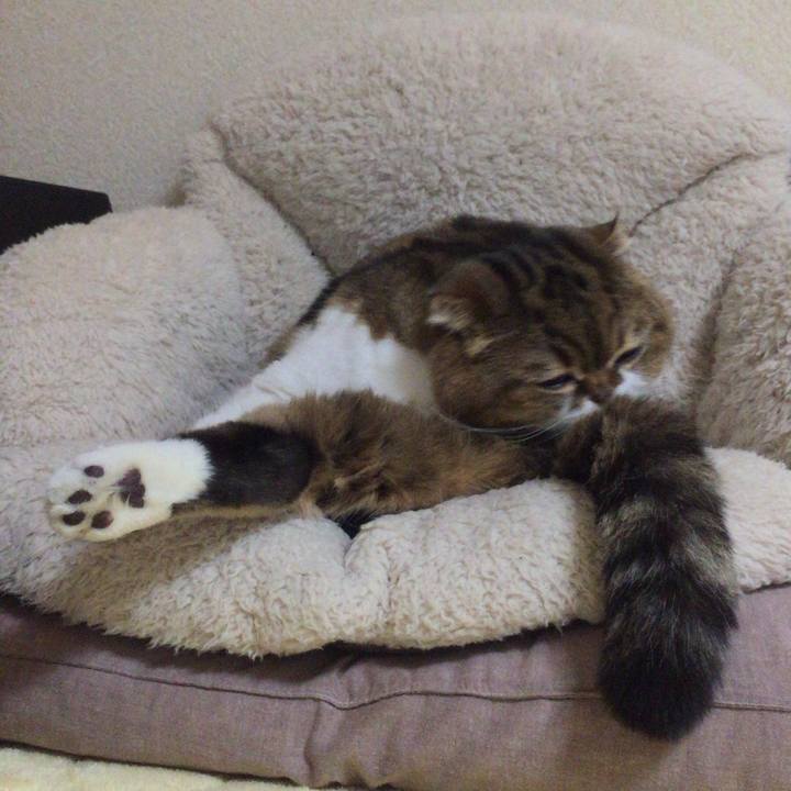 E5a5653e 8bcb 4269 ab5d bd1a17b027c6