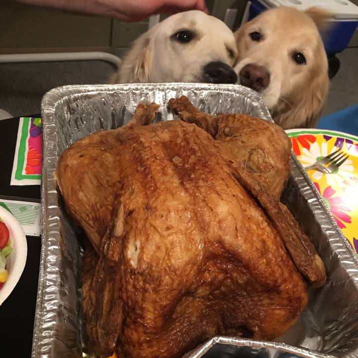 E5a5cc94 a83f 4456 aa95 654a7c37fcba