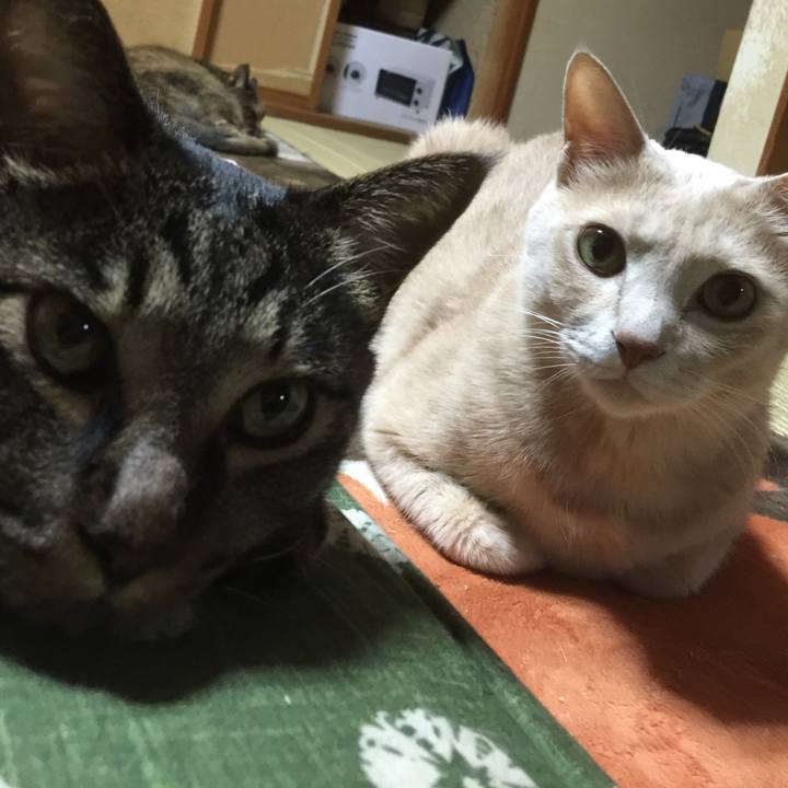 E5a62314 d394 4be9 97e5 90ab99276a91