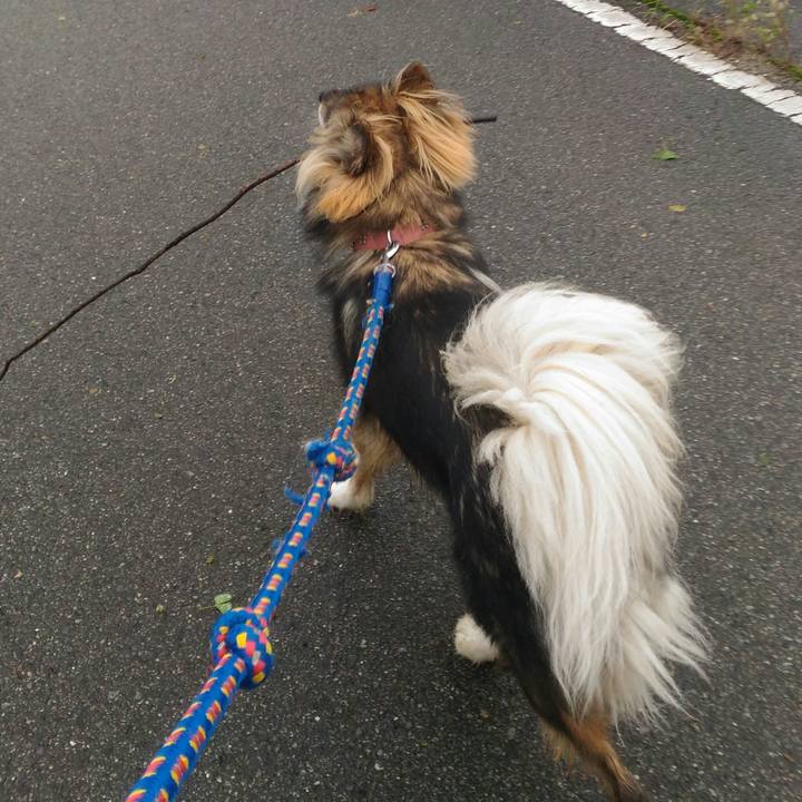 E5a6a5e3 42b0 41fd a89c 6c5f319e940e