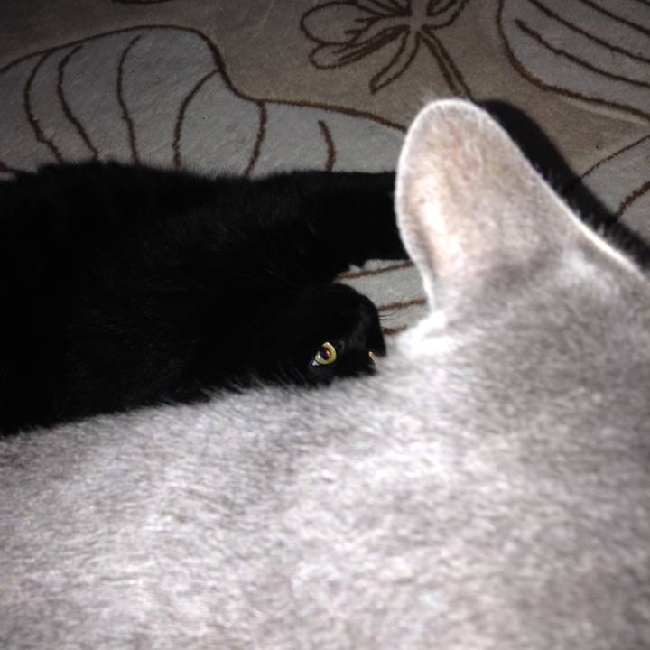 E5a6ee21 6374 4c93 a3ed d24c4a90bc5a