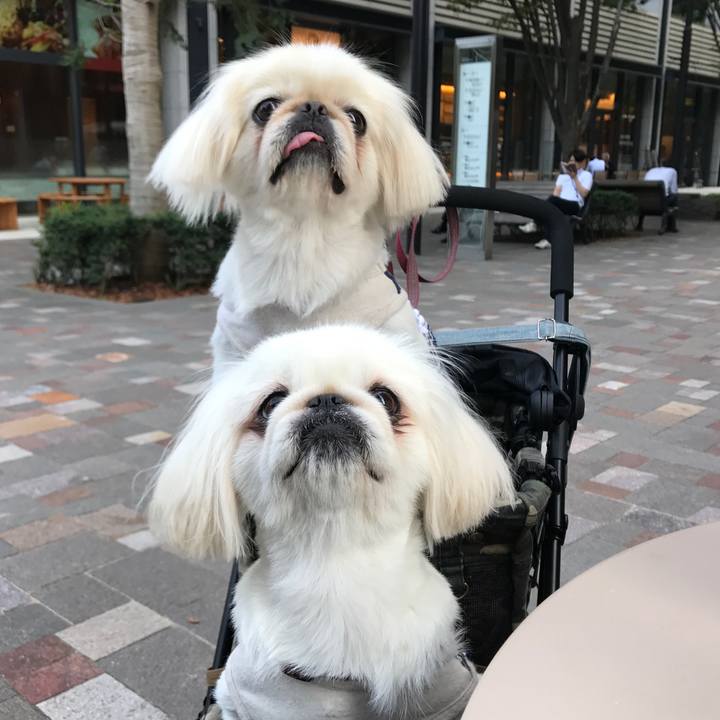 E5a73224 61a2 4be5 bf48 05d9528479da