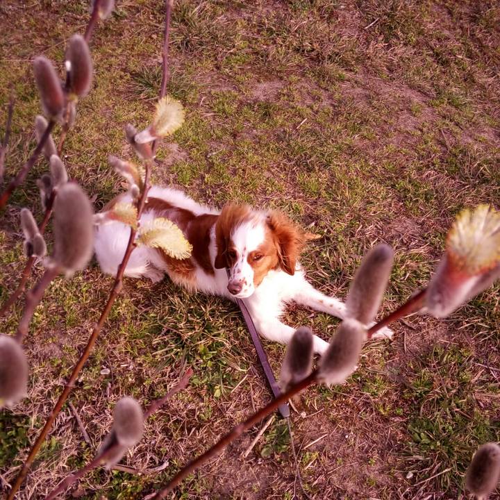 E5a80a0e b057 4882 ba0c bd844fe8251a