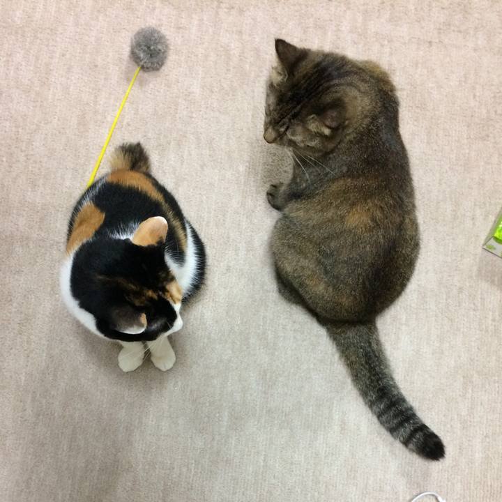 E5a8916a 07c3 46b0 97c4 3bcdabf4273b