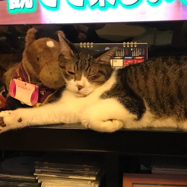 E5a8cadc 5267 4166 9a0d 09b4aa8c1177