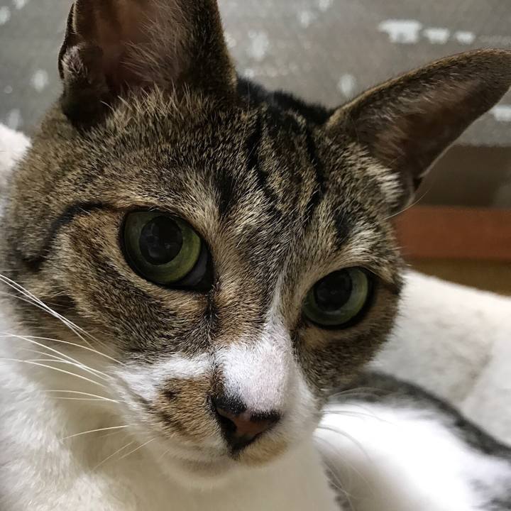 E5a8da7b 4f0c 46a4 8f1e 8b3fe849df13