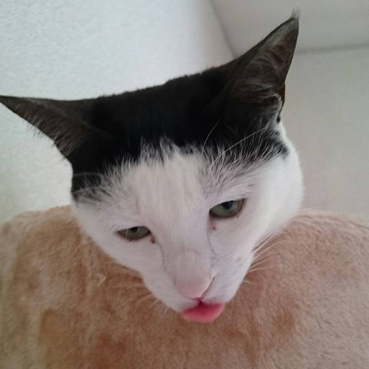 E5a9b11d 2233 4c5e 9582 50a768b1e8e2