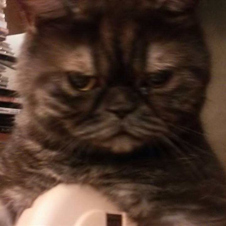 E5a9fe8f 5f55 4f43 a01a fdf8ee4aeb3d