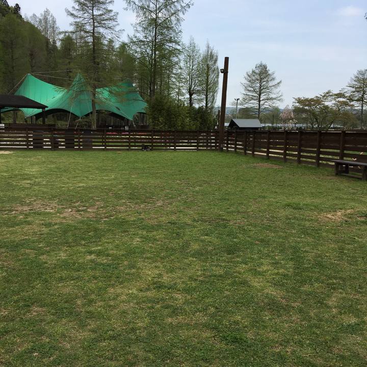 E5aa1e12 9080 4ce3 881e dca6f11b26d1