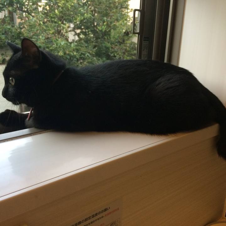 E5aa4df4 82c4 4cbe aa11 438b548d4c51