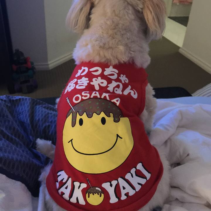 E5aa618d 256d 49fb b130 6e279914ba96