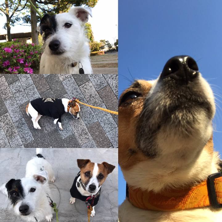 E5aab034 2b68 4b79 8f73 19c1d80831fb