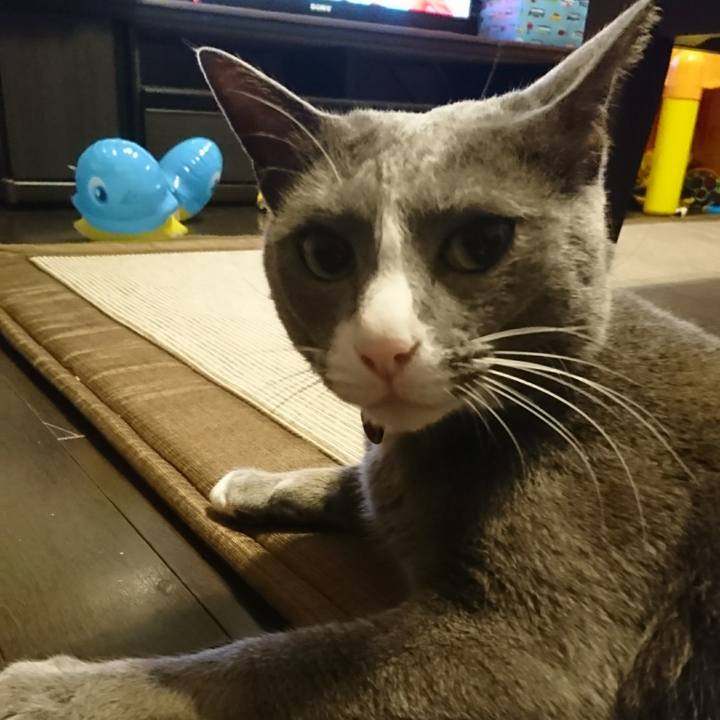 E5aac6bf 27e6 4546 9c58 6d0207c1b53b