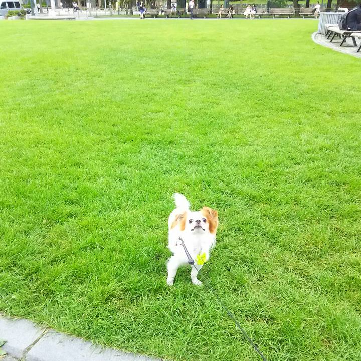 E5aadd23 bbc2 4341 b6ca 0b071762b5e5