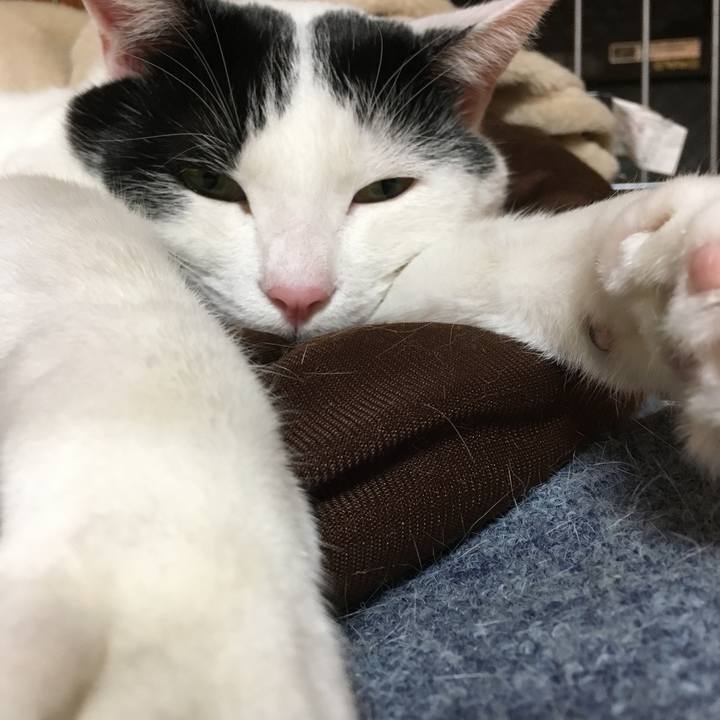 E5aaecd7 12c0 4102 a0f0 e3664ea0b329