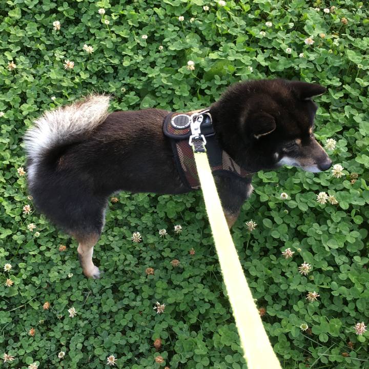 E5aafe6d 38be 4a58 9c55 a281324ce2fd