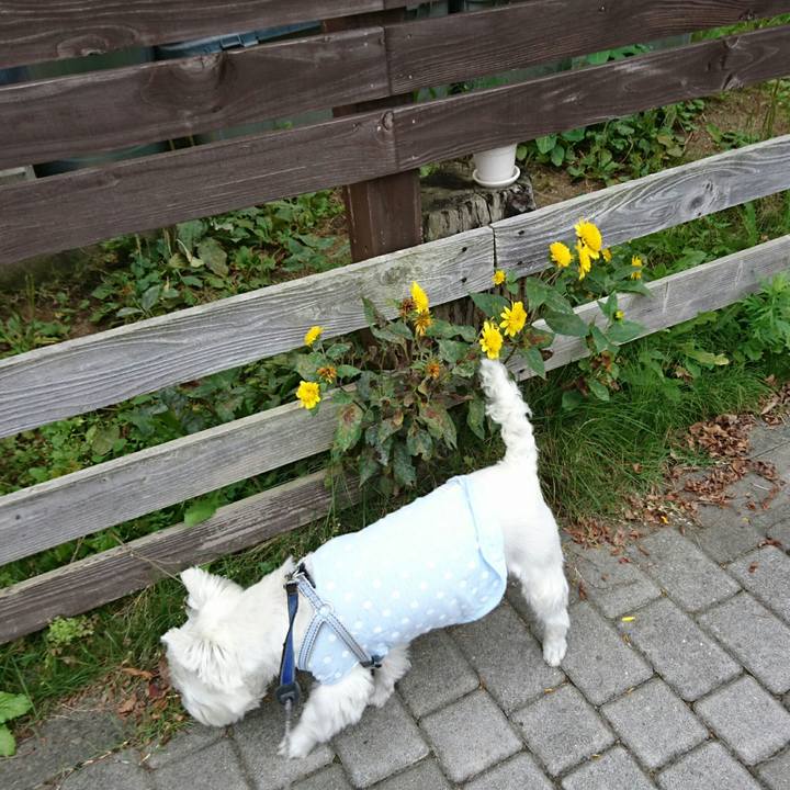 E5ab1052 d2ac 49b2 8cde c854b0d377e0