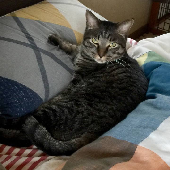 E5ab15b8 2fa4 4fa2 a9b1 f7fbee0a0c84