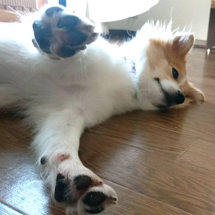 E5ac28b6 36d7 4ebd bb8f 8f4834183ec3