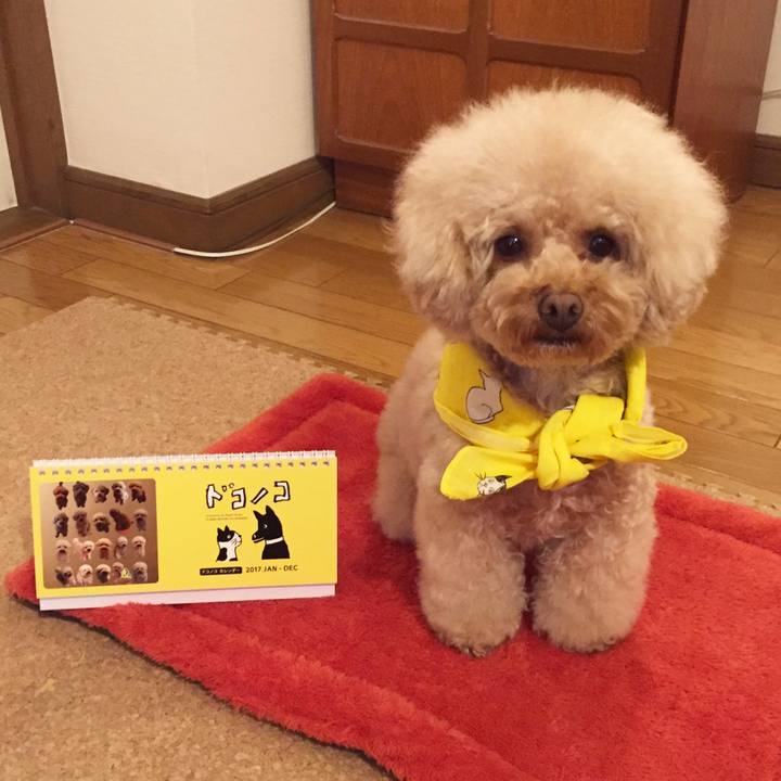 E5ac82fc b7cf 429f b619 f739bf71973a