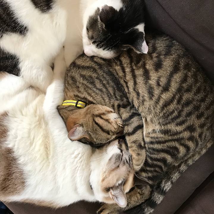 E5ad72d1 8c5a 4df7 af8c 328f4090eb04