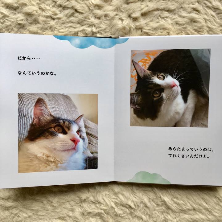 E5ad8467 a59a 4fbf a9d4 ae823601fea7