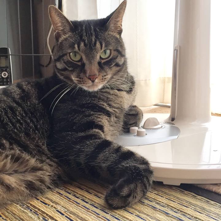 E5adfe47 dc94 4b85 b99d a01d732d616d