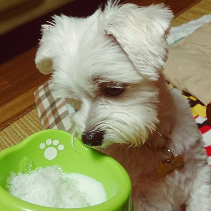 E5ae91b3 cc28 4532 b73a f536937298f8