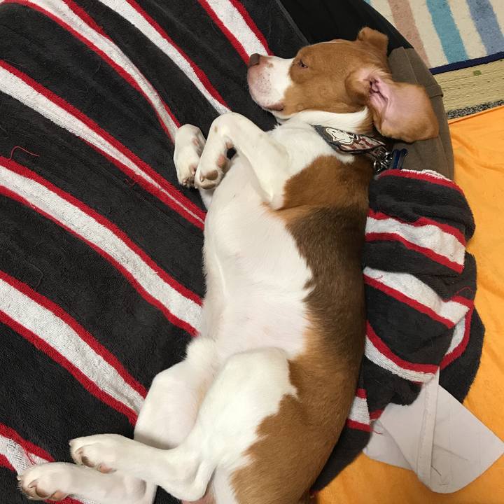 E5aed3c5 e95c 4533 900f ff50b4b5cf43