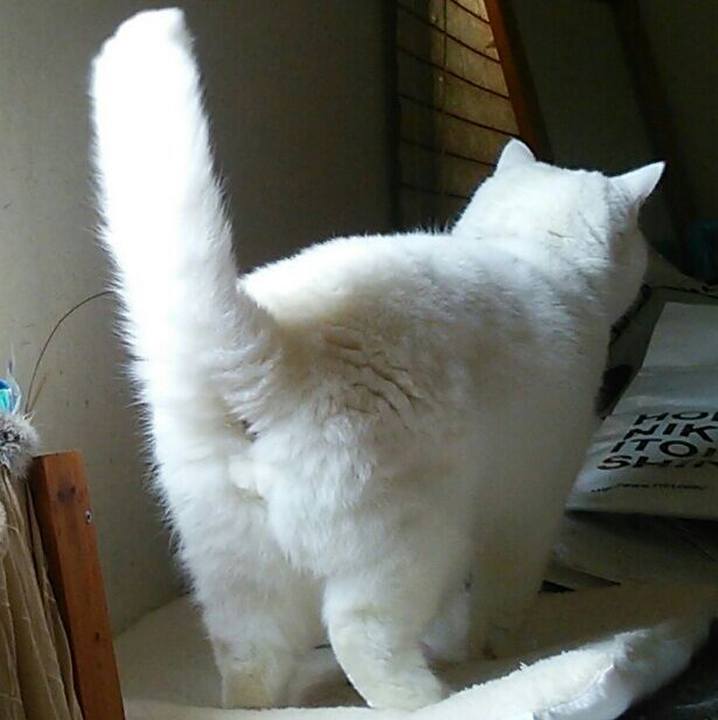 E5af03bc bff5 4ab7 869d 007a12682429