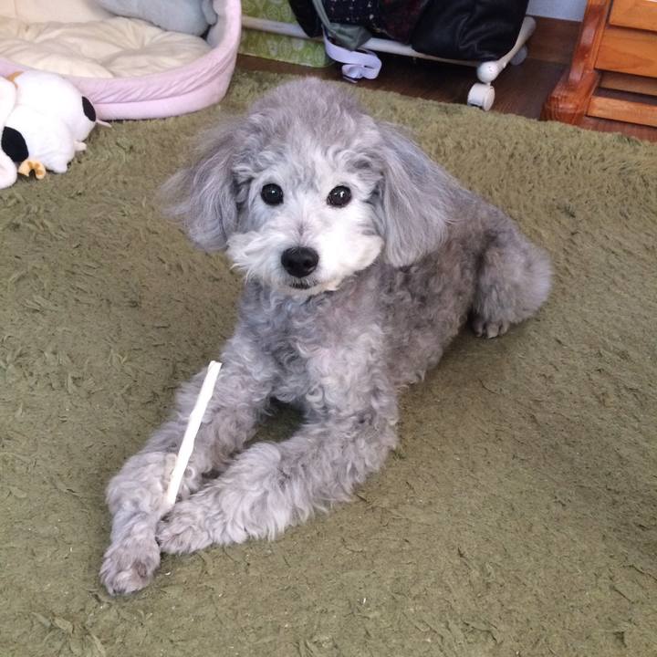 E5af3adf a87d 4c10 a81e e28ad87710d1