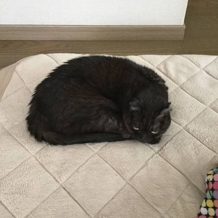 E5af7afd be52 4058 bf0d 1ef65743a605