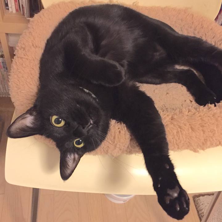 E5affd91 9546 472b a648 190afdad4476