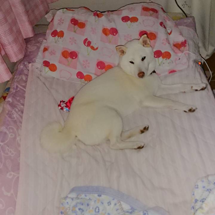 E5b01be8 50d5 410b 8692 c7573b25889c