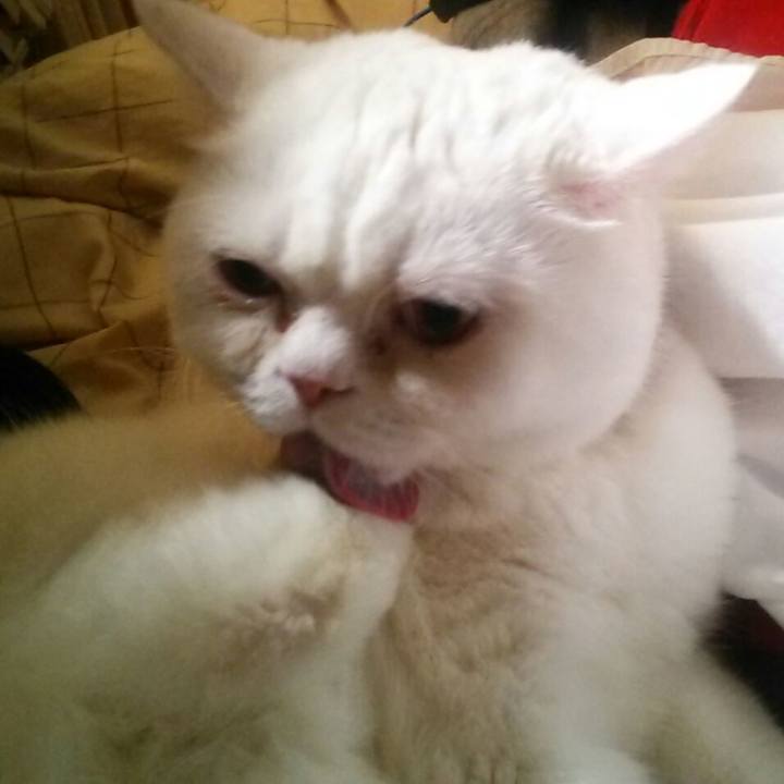 E5b05155 e2d8 435e 96d2 00ba0290ae6b