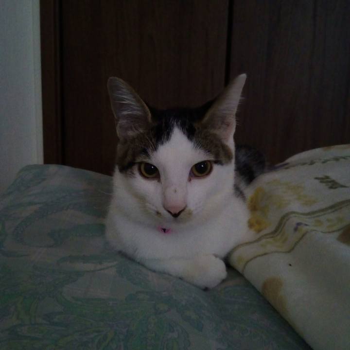 E5b12ccd 1d42 409b 8d6c 98606005edb1