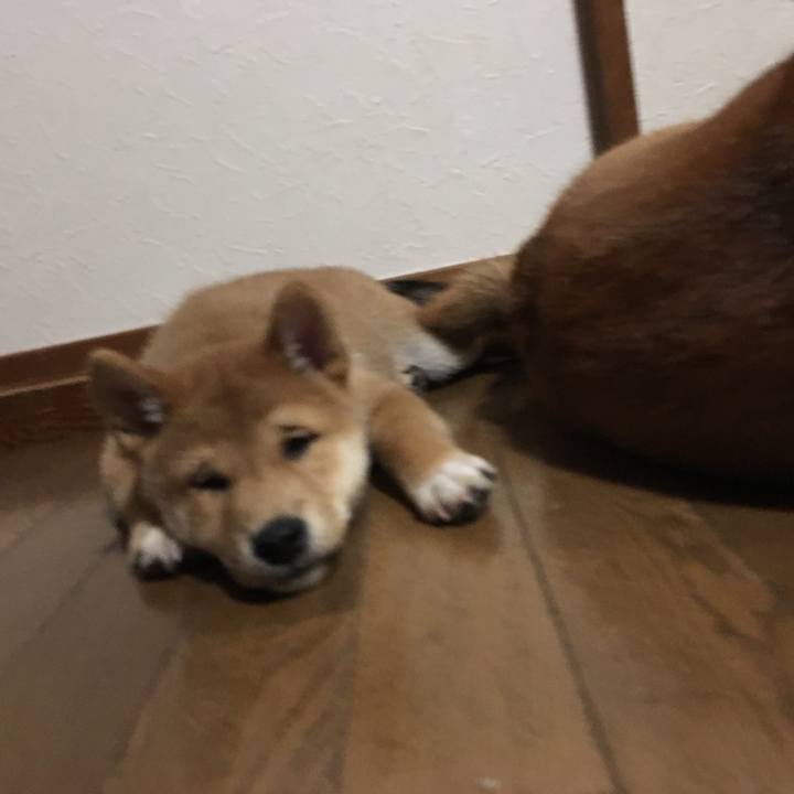 E5b28263 a3b2 40df b167 e079108d67df