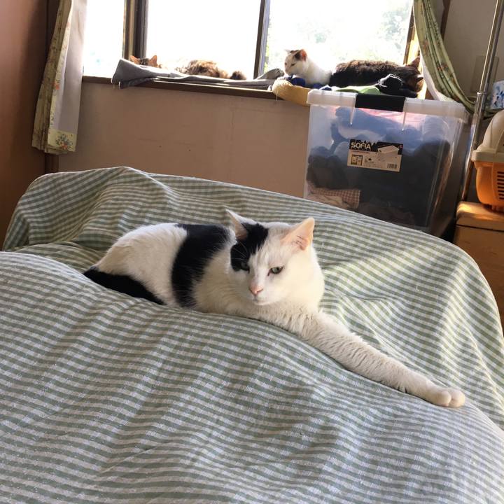 E5b289ef 8f10 40d6 bb13 ecb606cb06f5