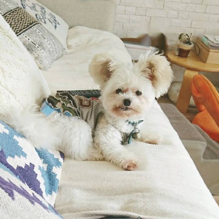 E5b29d49 963d 4b6f 84af 5f2e406e66f2