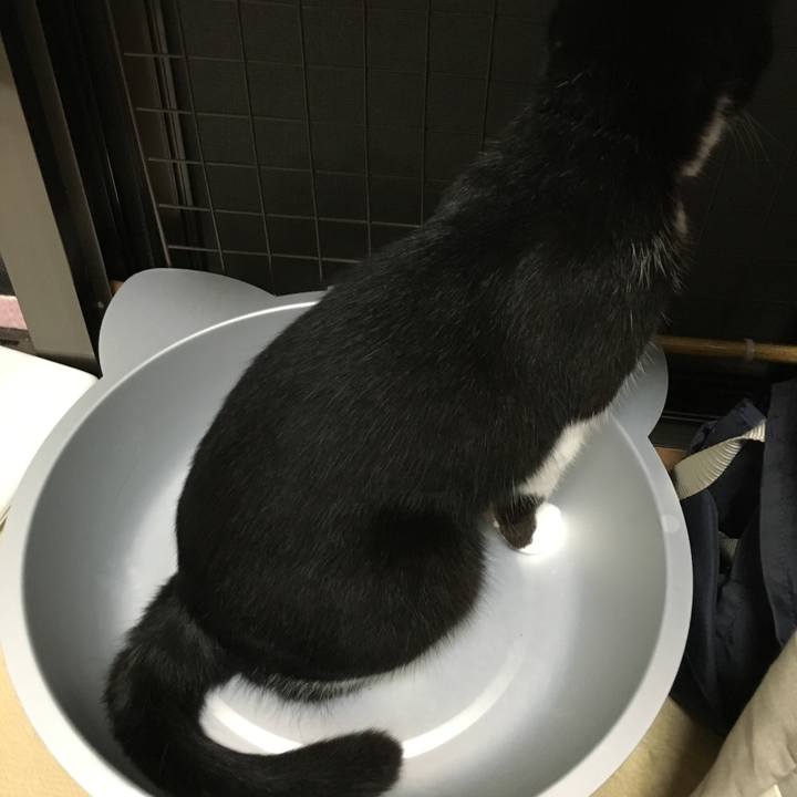 E5b2efe0 2e96 49b3 99a3 f341b5394eae