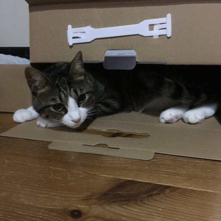 E5b2f56e 70fe 493f 82b9 01f3ec9eee70