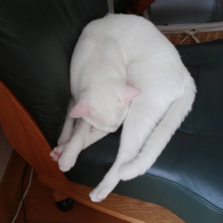 E5b2fa5c f05b 4862 a55b 74d0107a009b