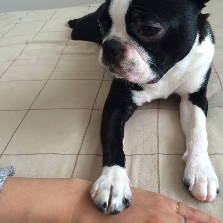 E5b2fc09 edae 4228 97b1 e5e8f56a4503