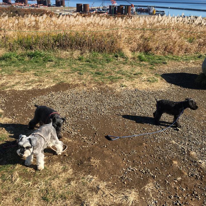 E5b348c7 9fb8 4b18 b636 1d818472ed6d