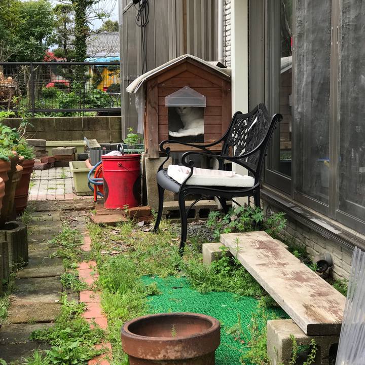 E5b3490c cbb7 48c0 ab6a d1ca8a860047