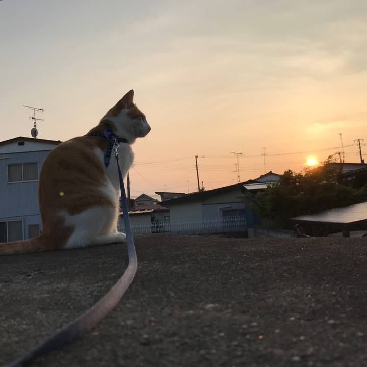 E5b352fa 7a6a 49fd bafc a208d0aea2fc