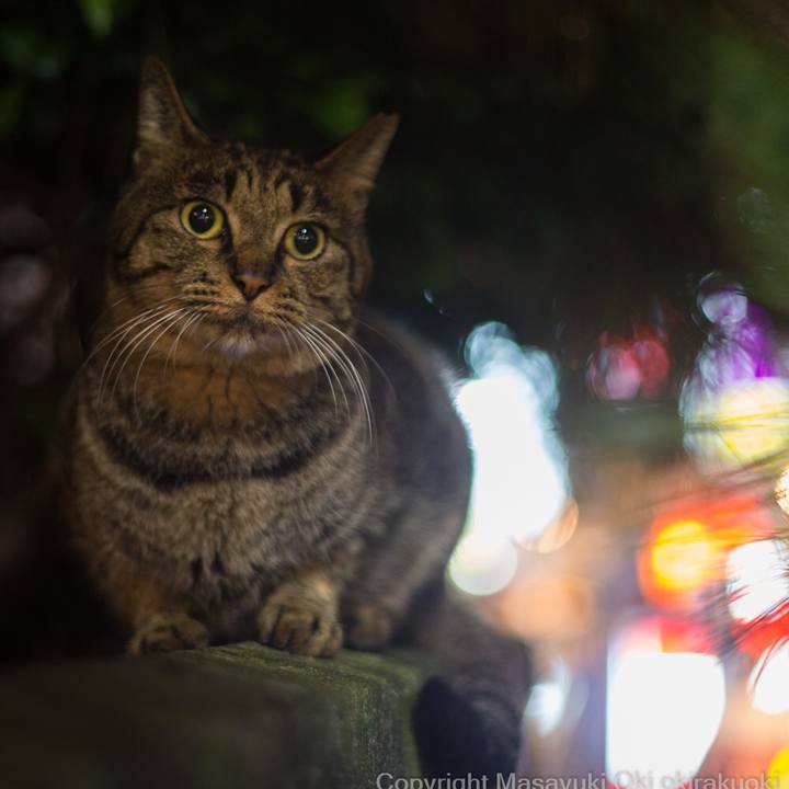 E5b370a7 2cdd 493d bcd5 c51f636abfad