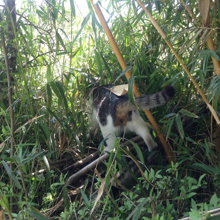 E5b38c02 2c99 4710 b46c a8f5706910c2