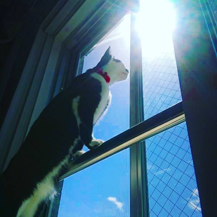 E5b38d5a 31b8 4fc1 a121 e00ff8986ec4